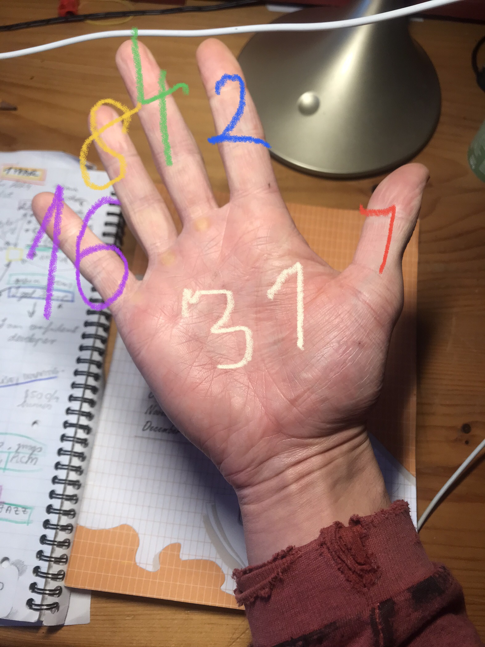 My hand with all fingers open, and binary values written on the fingers, it adds to 31