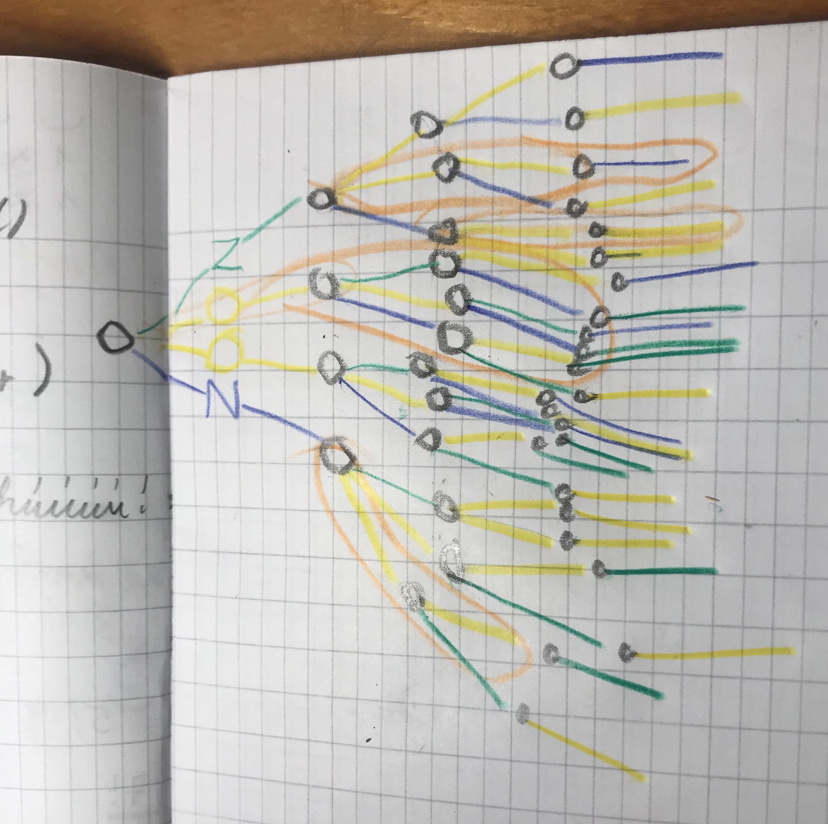 Color coded permutations of ZOON